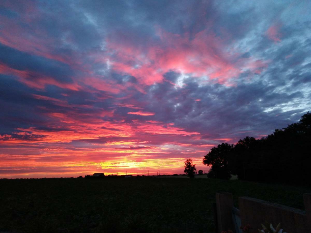 Chambre D'Hotes Du Bois Joli Bed & Breakfast Mesnard-la-Barotiere ภายนอก รูปภาพ